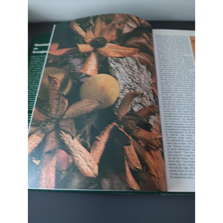 Bloemschikken en Droogboeketten inspiratieboek