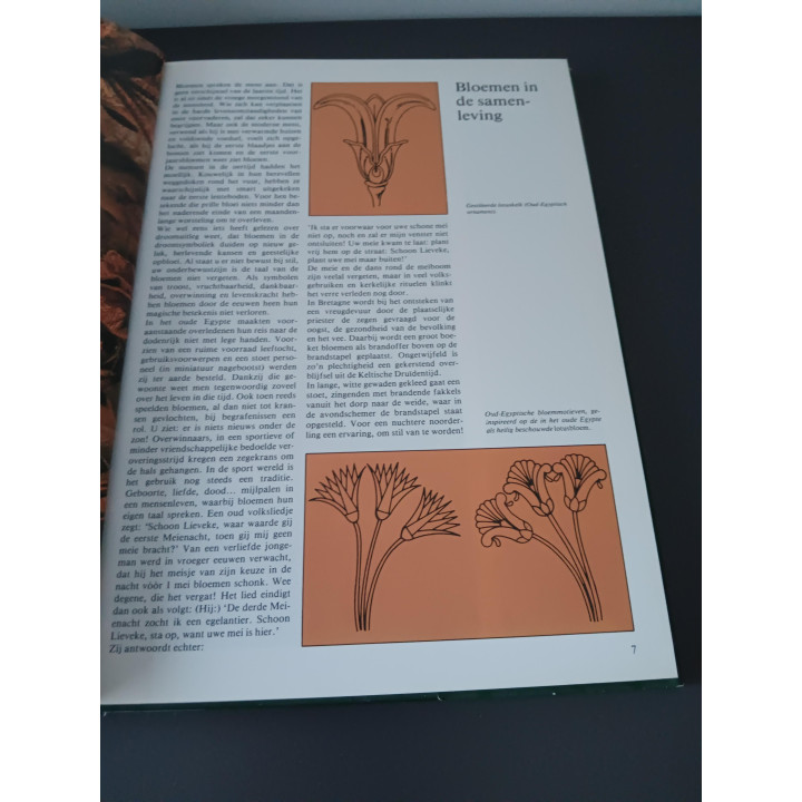 Bloemschikken en Droogboeketten inspiratieboek