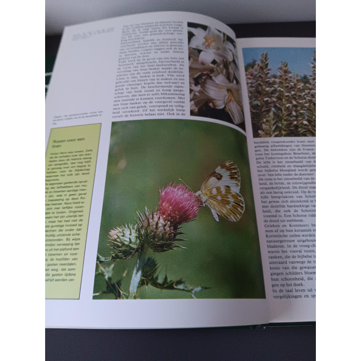 Bloemschikken en Droogboeketten inspiratieboek