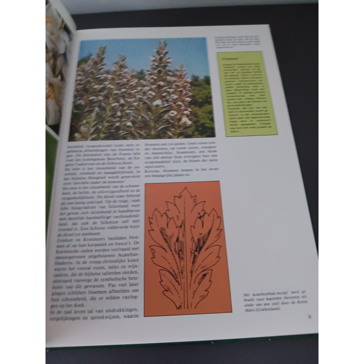 Bloemschikken en Droogboeketten inspiratieboek