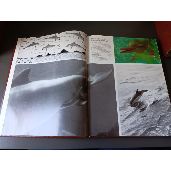 Spectrum dieren encyclopedie set 7 delen | Angelique's Kringloop
