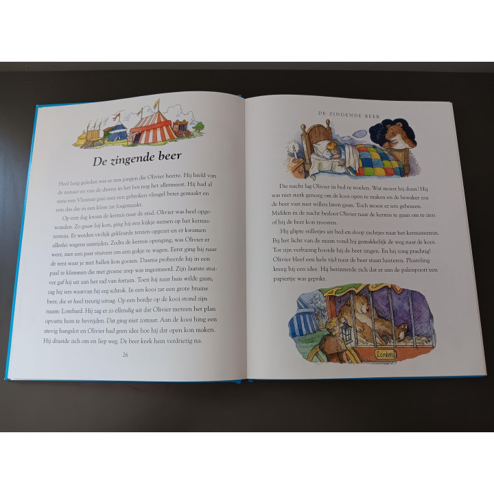Verhalen voor jongens voorleesboek | Parragon