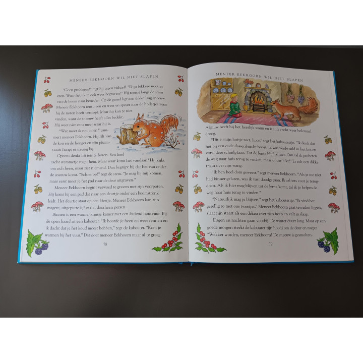 Verhalen voor jongens hardcover voorleesboek