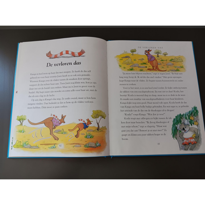 Verhalen voor jongens hardcover voorleesboek