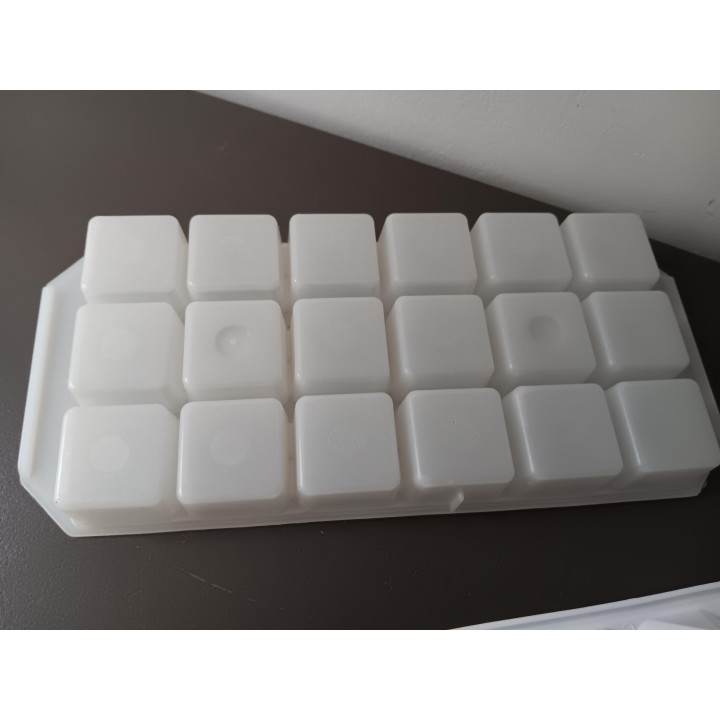 Set van 2 ijsblokjesvormen kunststof