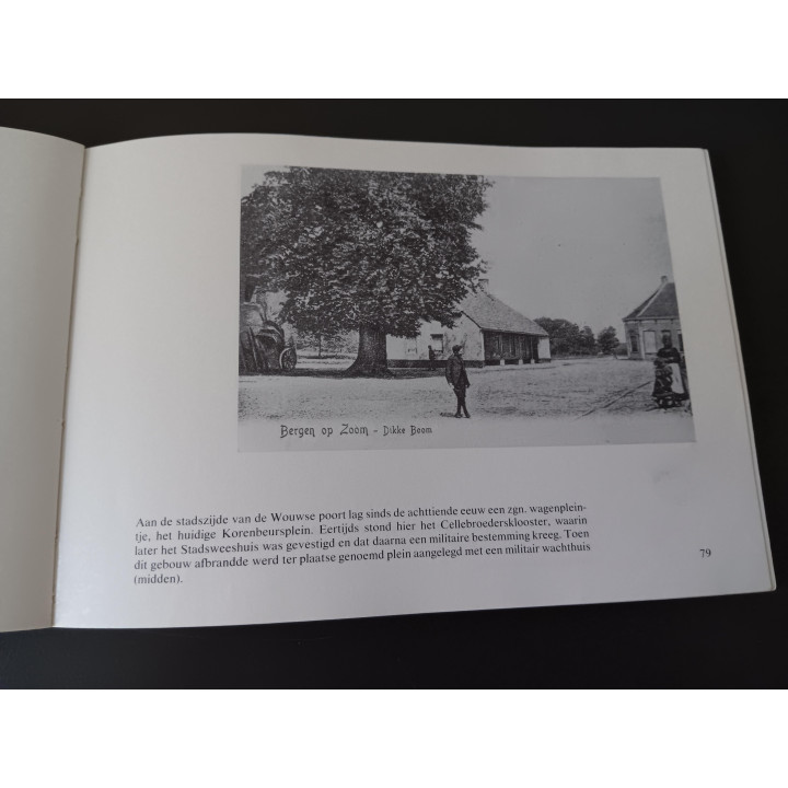 Bergen op Zoom in oude ansichten 1976 | Historisch boek
