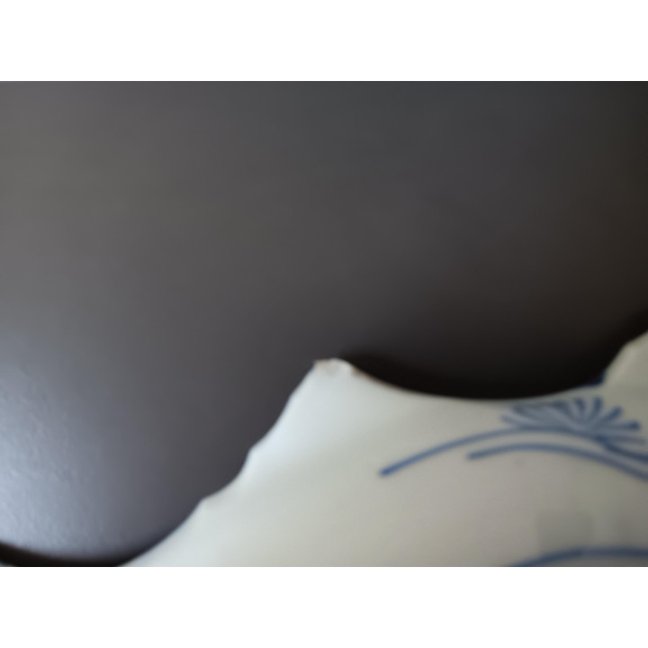 Japans Imari porseleinen visschaal