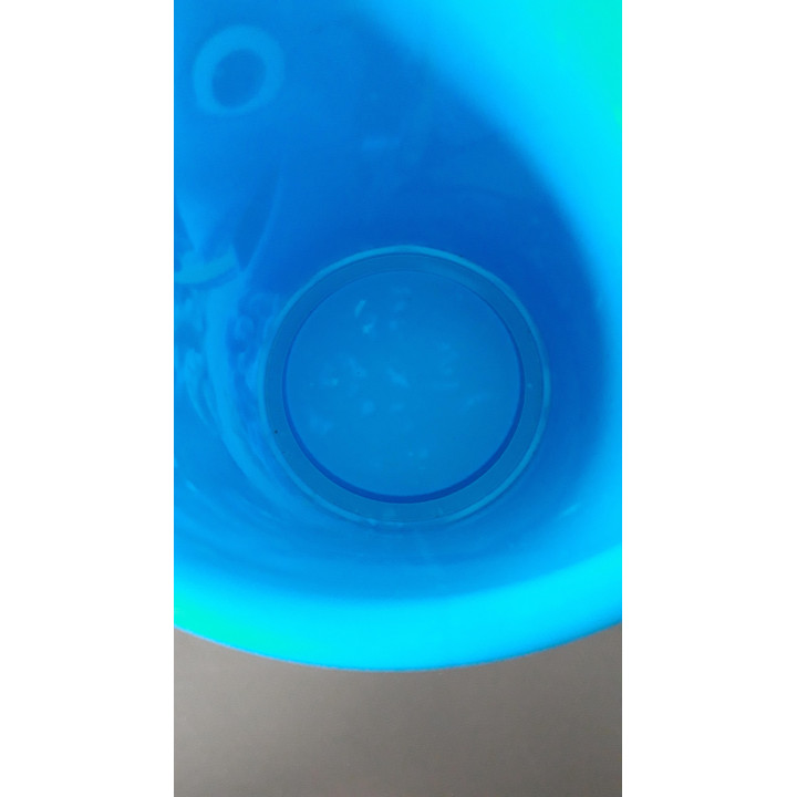 Smoby Finding Dory Kinderen Emmer