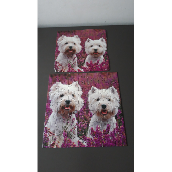 Ravensburger puzzel 3 x 49 dieren