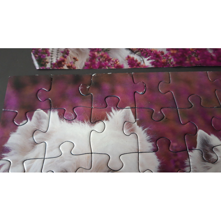 Ravensburger puzzel 3 x 49 dieren