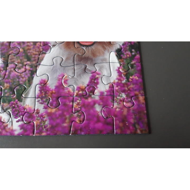 Ravensburger puzzel 3 x 49 dieren