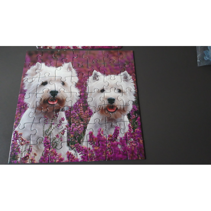 Ravensburger puzzel 3 x 49 dieren