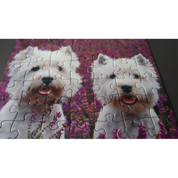 Ravensburger puzzel 3 x 49 dieren