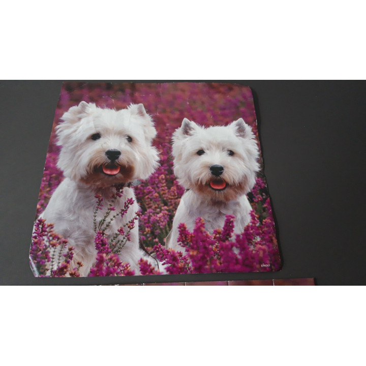 Ravensburger puzzel 3 x 49 dieren