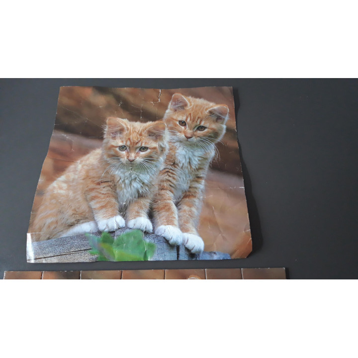 Ravensburger puzzel 3 x 49 dieren