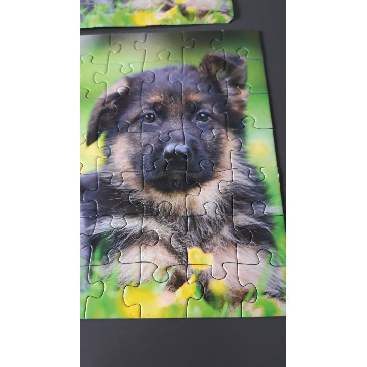 Ravensburger puzzel 3 x 49 dieren