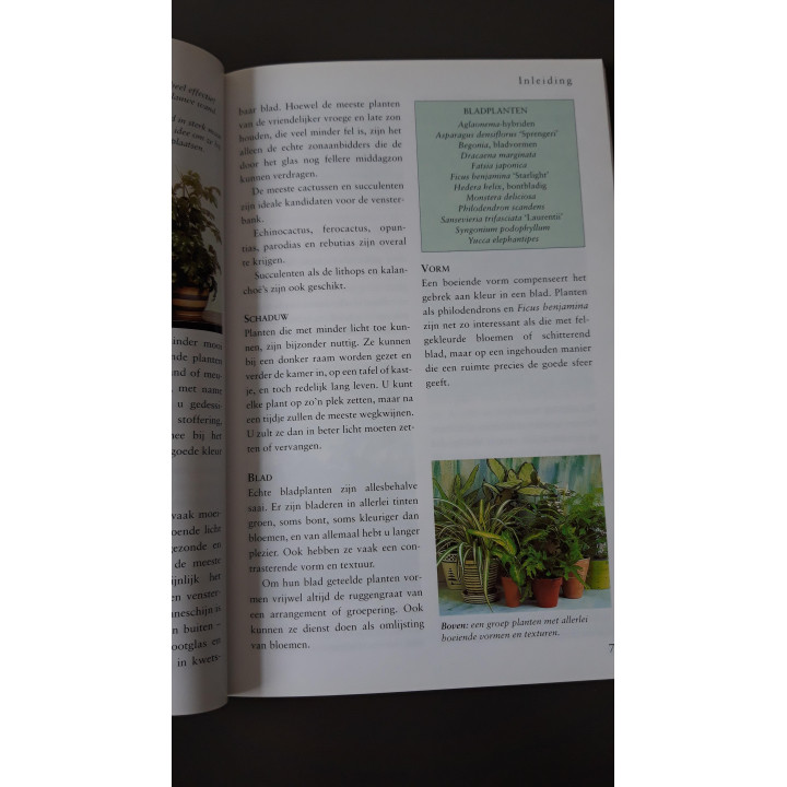 Succes met Kamerplanten Jackie Matthews
