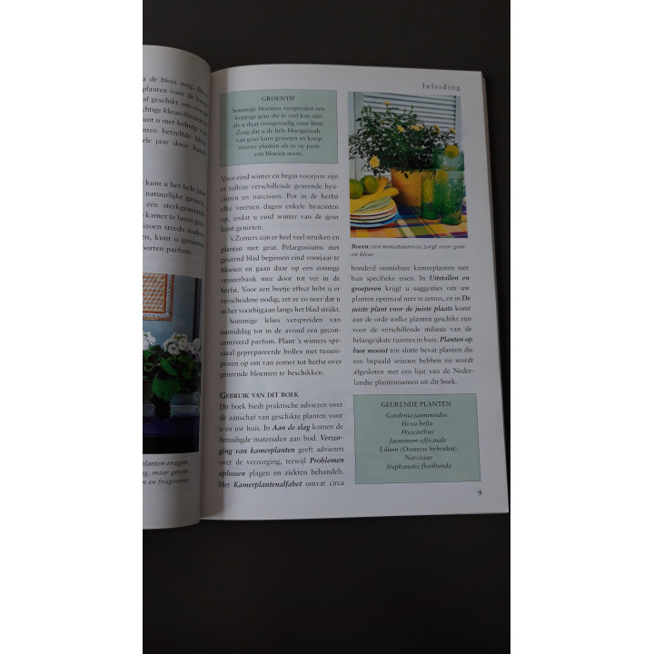 Succes met Kamerplanten Jackie Matthews