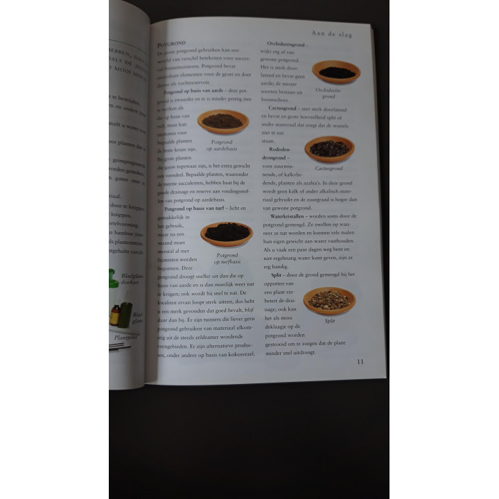 Succes met Kamerplanten Jackie Matthews