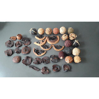 Decoratieve set gedroogde sinaasappel schijven en zaadbollen