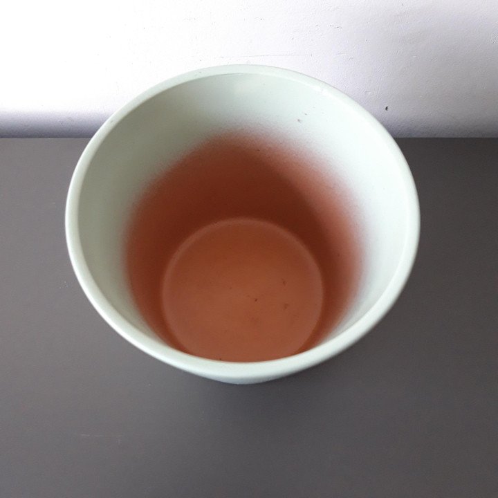 Lichtgroene keramieken bloempot