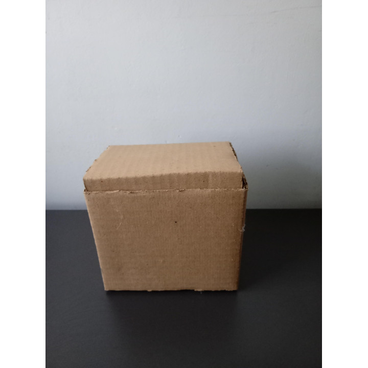 Kerst spaarpot huisje met kerstboom en kerstman