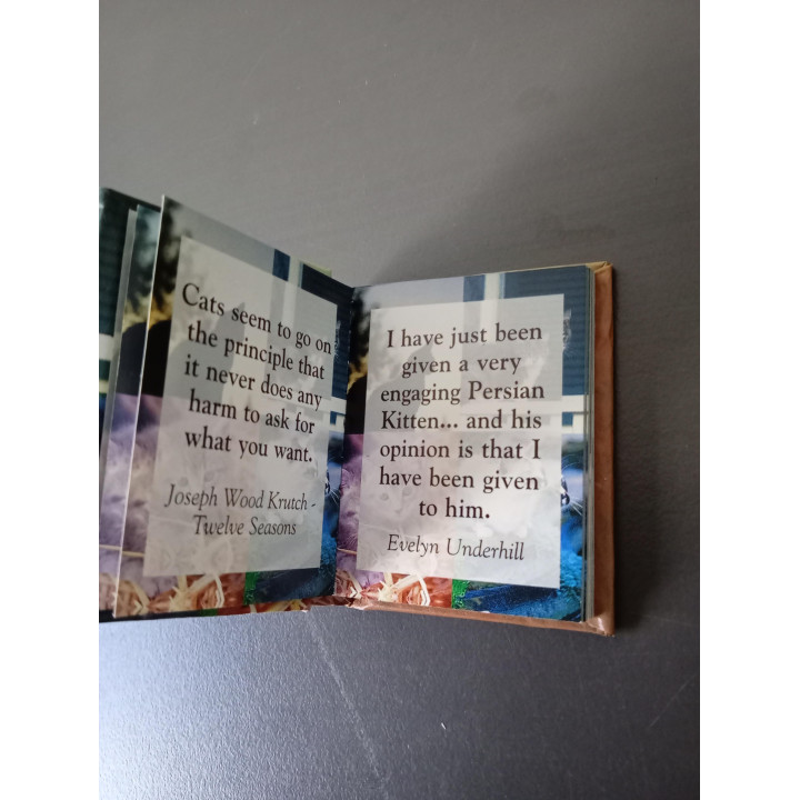 Cat Lovers mini boekje met katten quotes