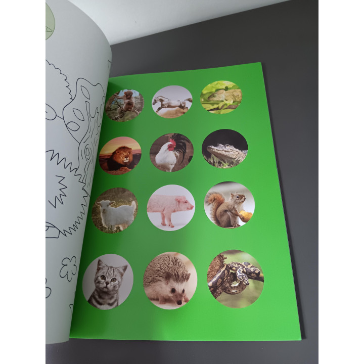 HEMA kleurboek met stickers dieren | 3-5 jaar | Angelique’s Kringloop