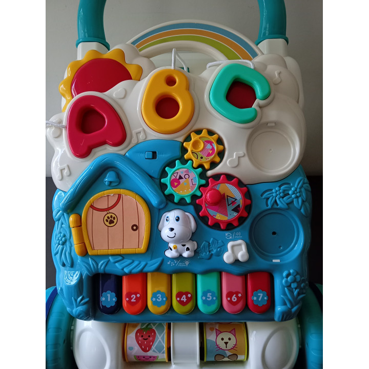 Baby Loopwagen met Activiteitenpaneel en Muziek