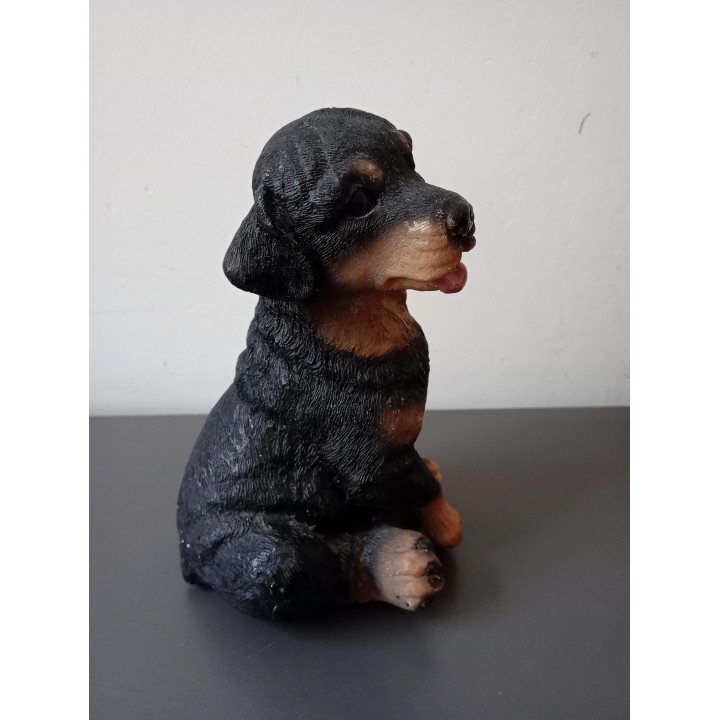 Rottweiler Puppy Beeldje van Hard Kunststof