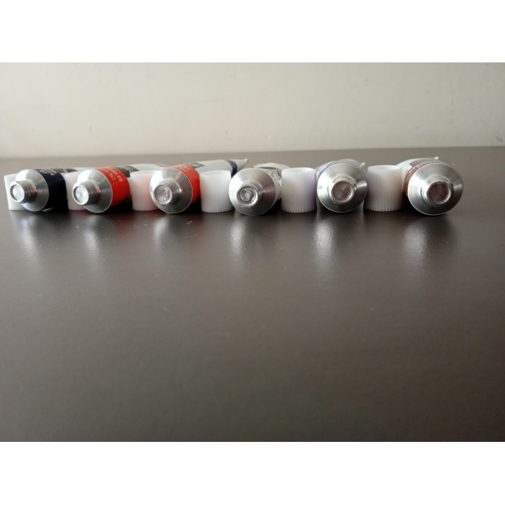 6 Olieverf Tubes Van Bleiswijck 12 ml