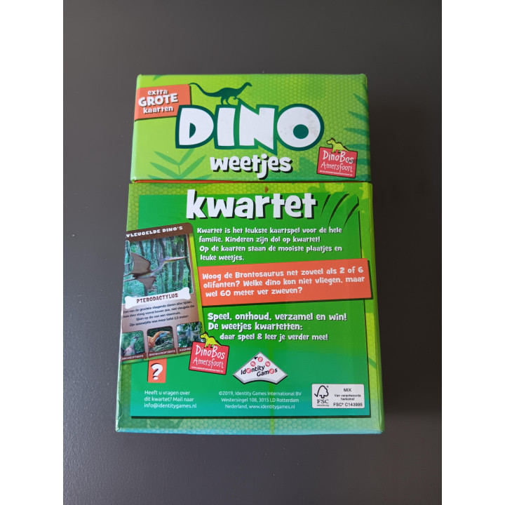 Dinosaurus kwartetspel met extra grote kaarten