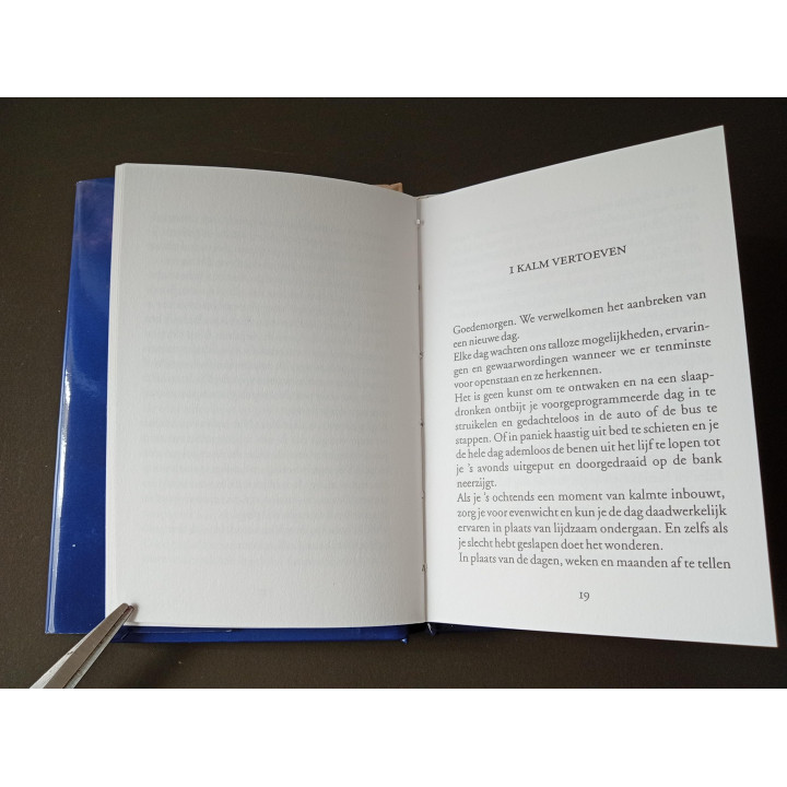 De Kunst van het Wakker Worden – Stephanie Wright