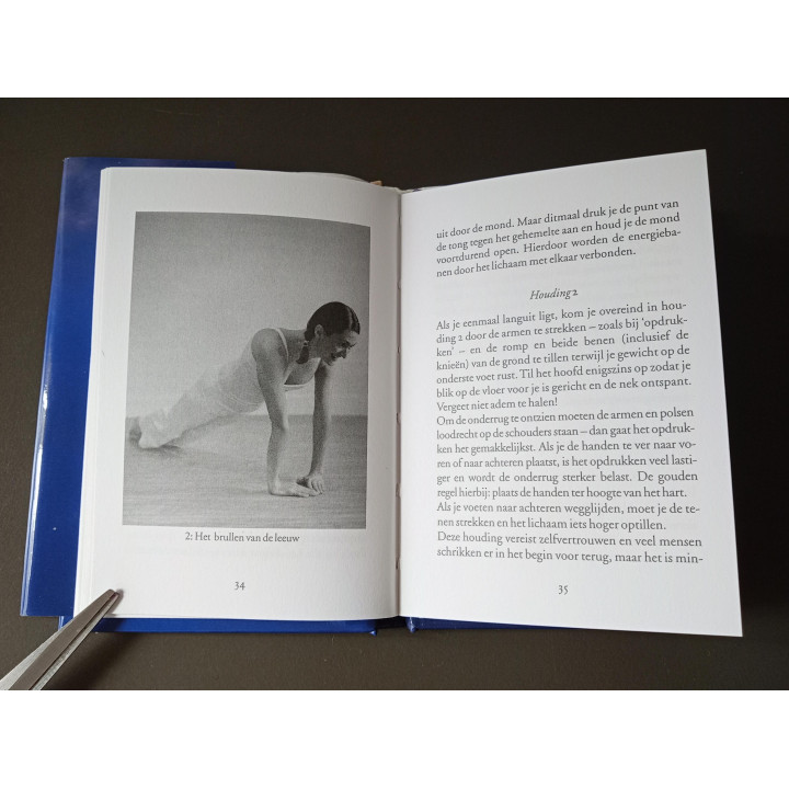 De Kunst van het Wakker Worden – Stephanie Wright