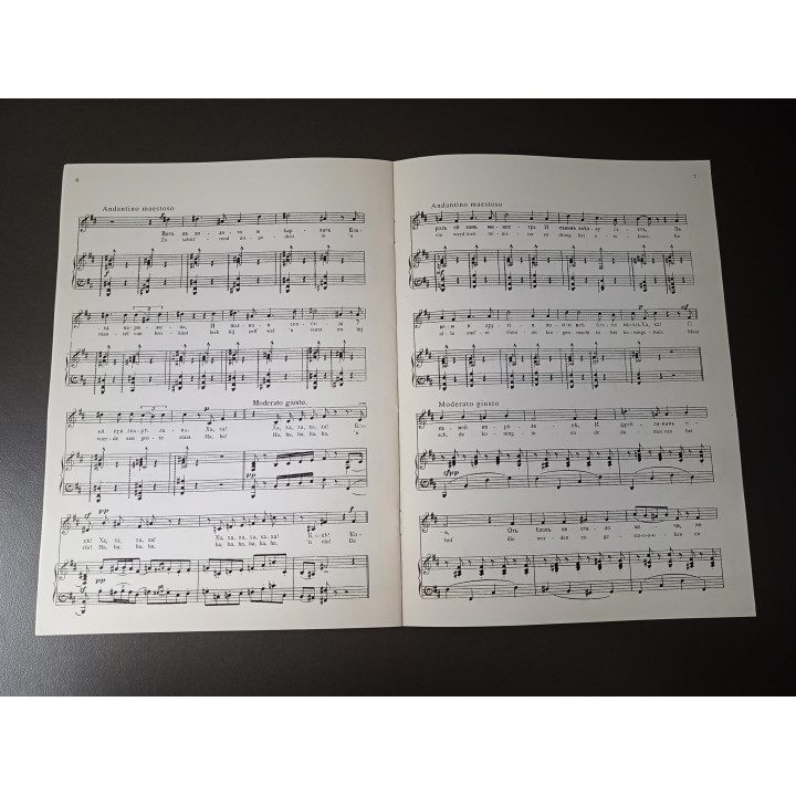 Modeste Moussorgsky De Vlo Bladmuziek Bas en Piano