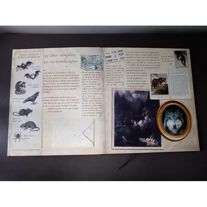 Vampiers dagboek Van Helsing interactief boek | Angelique's Kringloop