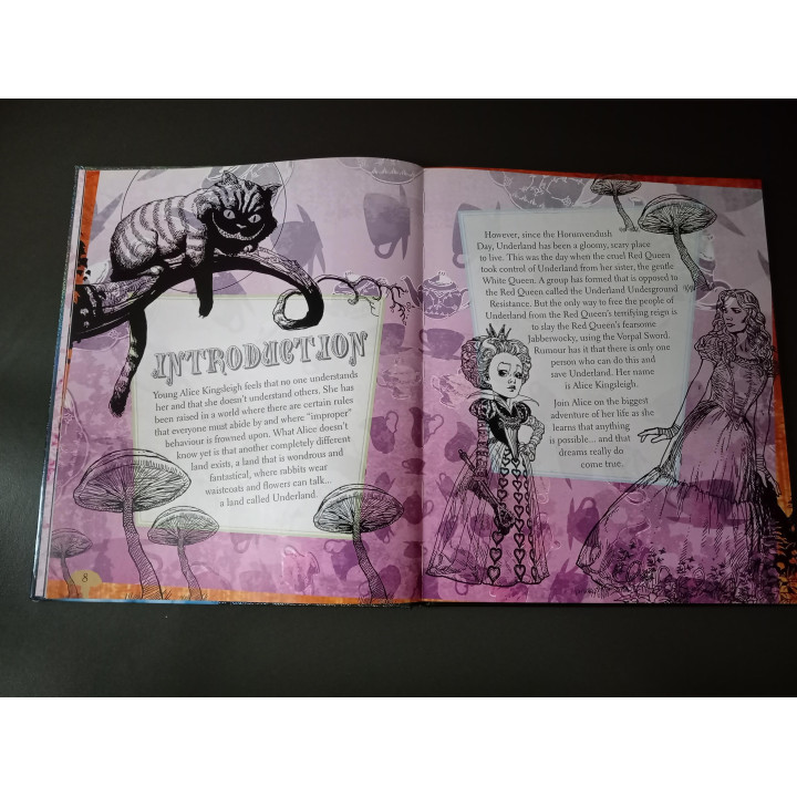 Disney Alice in Wonderland The Visual Guide hardcover boek