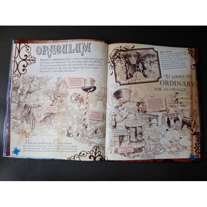 Disney Alice in Wonderland The Visual Guide hardcover boek