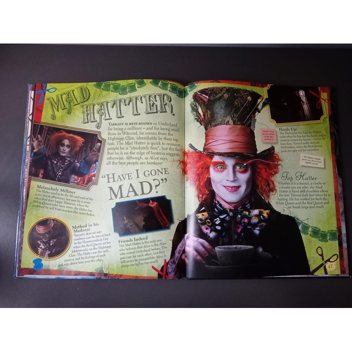 Disney Alice in Wonderland The Visual Guide hardcover boek