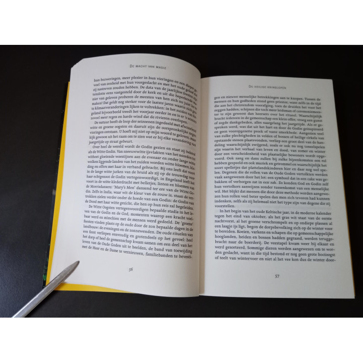 De macht van magie Marian Green | Spiritueel boek