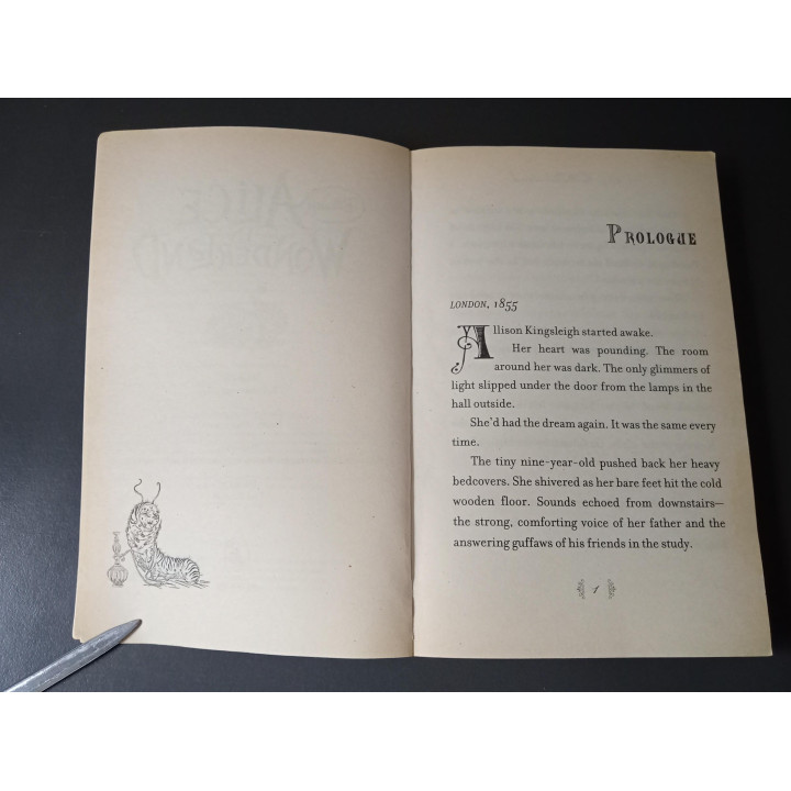 Disney Alice in Wonderland Engelstalig boek Tim Burton