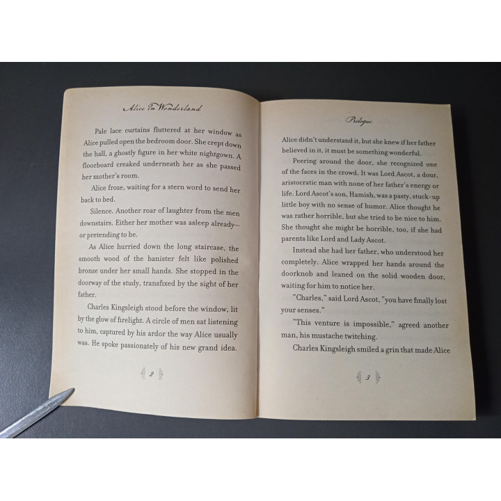 Disney Alice in Wonderland Engelstalig boek Tim Burton