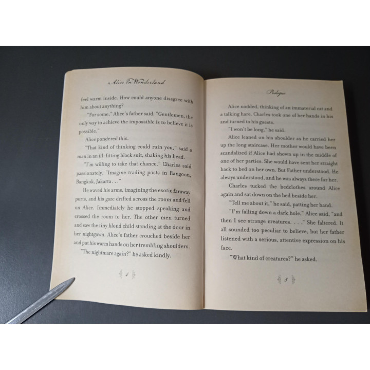 Disney Alice in Wonderland Engelstalig boek Tim Burton