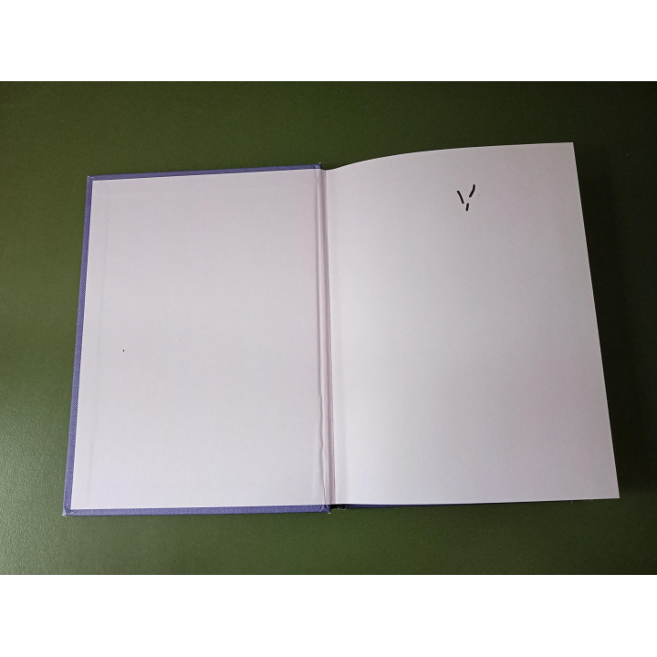 Handboek voor hedendaagse magie Lucy Summers hardcover