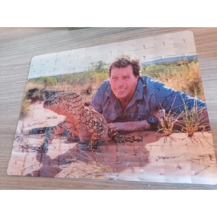 Freek Vonk 3D puzzel hagedis 100 stukjes