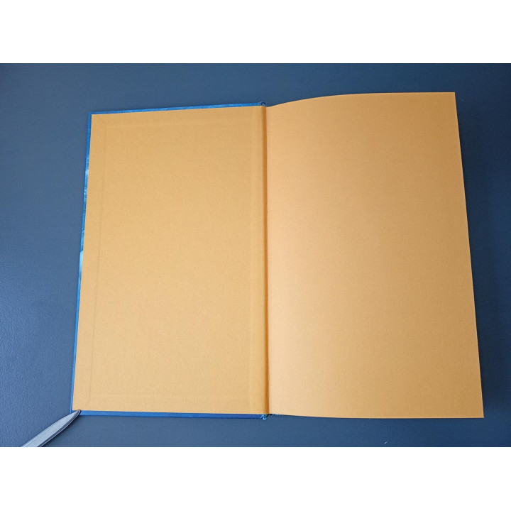 Robin Hobb De Thuiskomst hardcover
