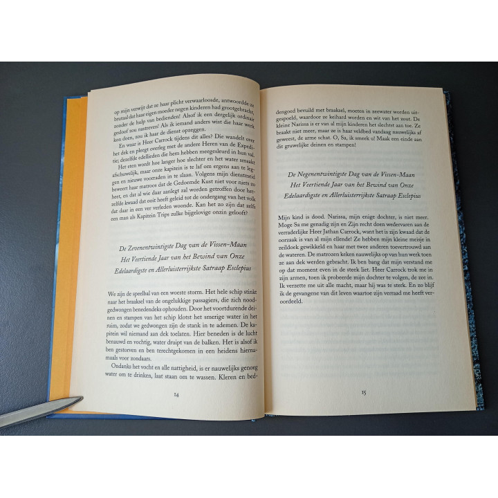 Robin Hobb De Thuiskomst hardcover