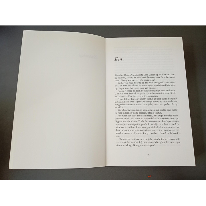 Karin Slaughter Zoenoffer Grant County deel 2