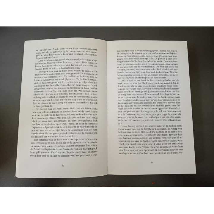 Karin Slaughter Zoenoffer Grant County deel 2