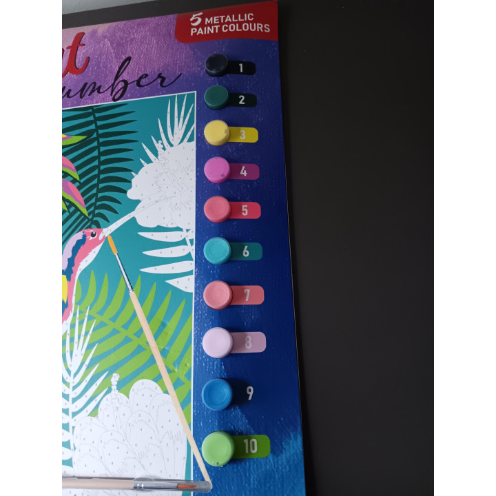 Paint-by-Number Set - Tropische Vogel (28 x 38 cm) - Inclusief 10 Kleuren & Penseel